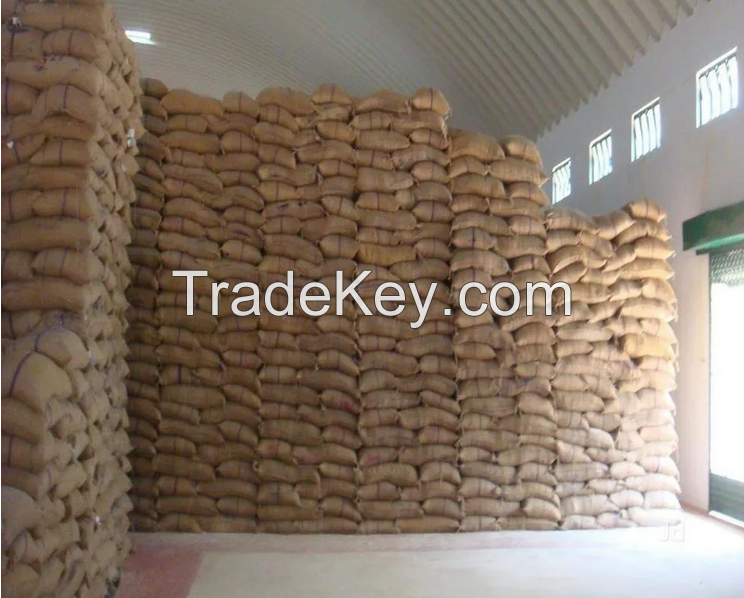 Premium Quality Whole Wheat Grain For Human Consumption 100% Pure For Bulk order