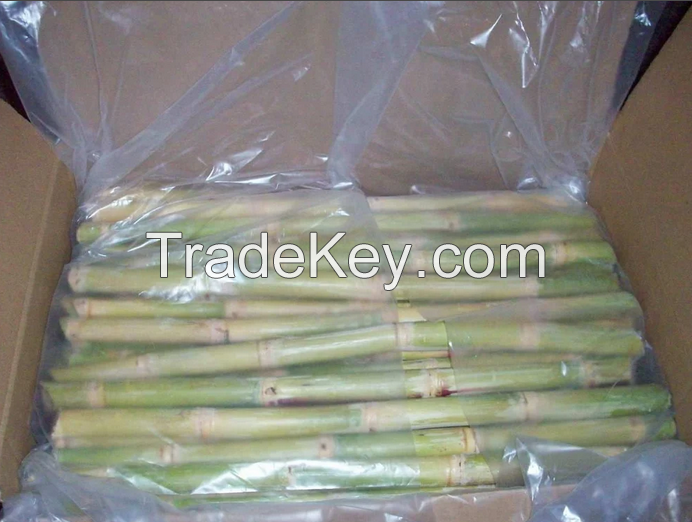 Premium Quality Fresh Sugarcane Exporter