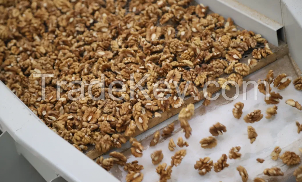 Organic dried Walnuts without shell