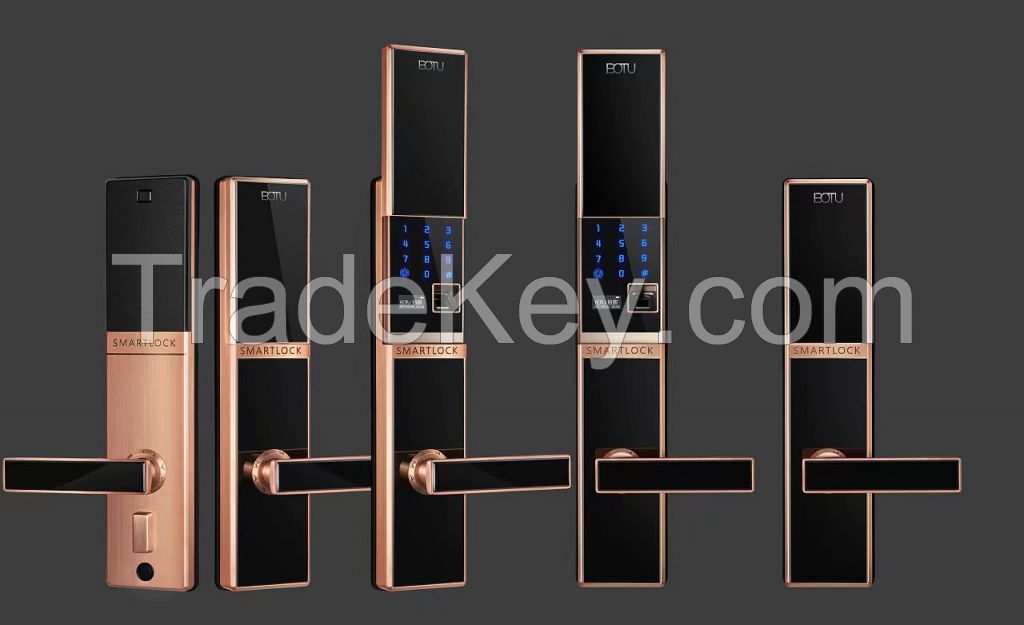 Keyue combine kangjia smart door lock