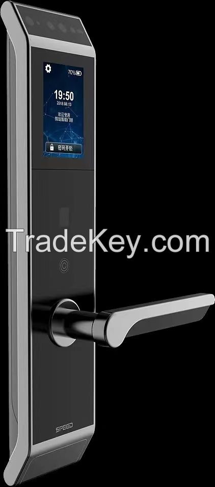 intellgient lock  lock anti-theft the latest mode i