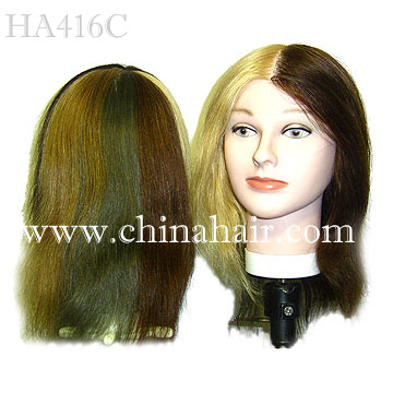 training head/mannequin head/hair mannequin head