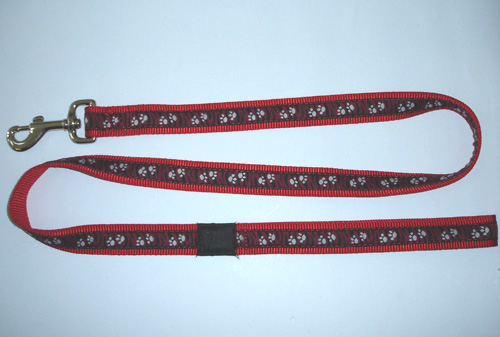 pet collar and leash