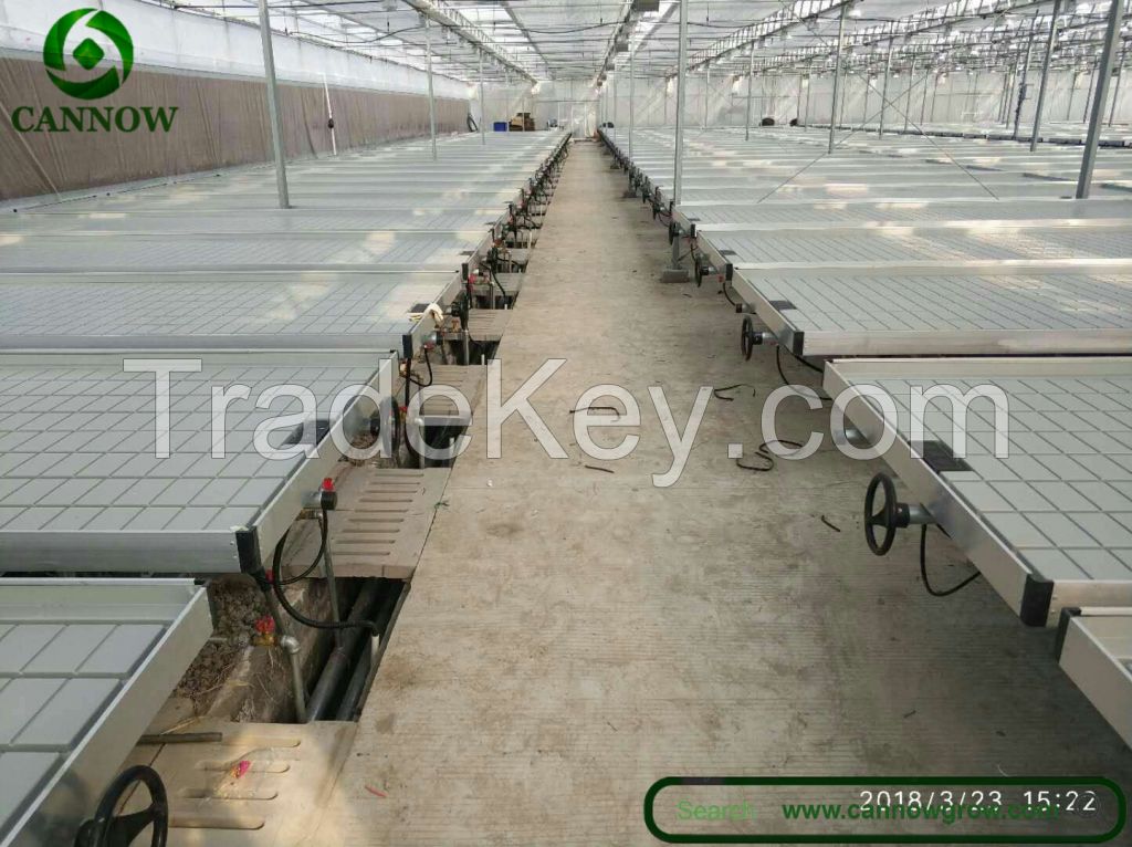 5.58ft (1.7m) wide flow and drain rolling bench for commercial greenhouse