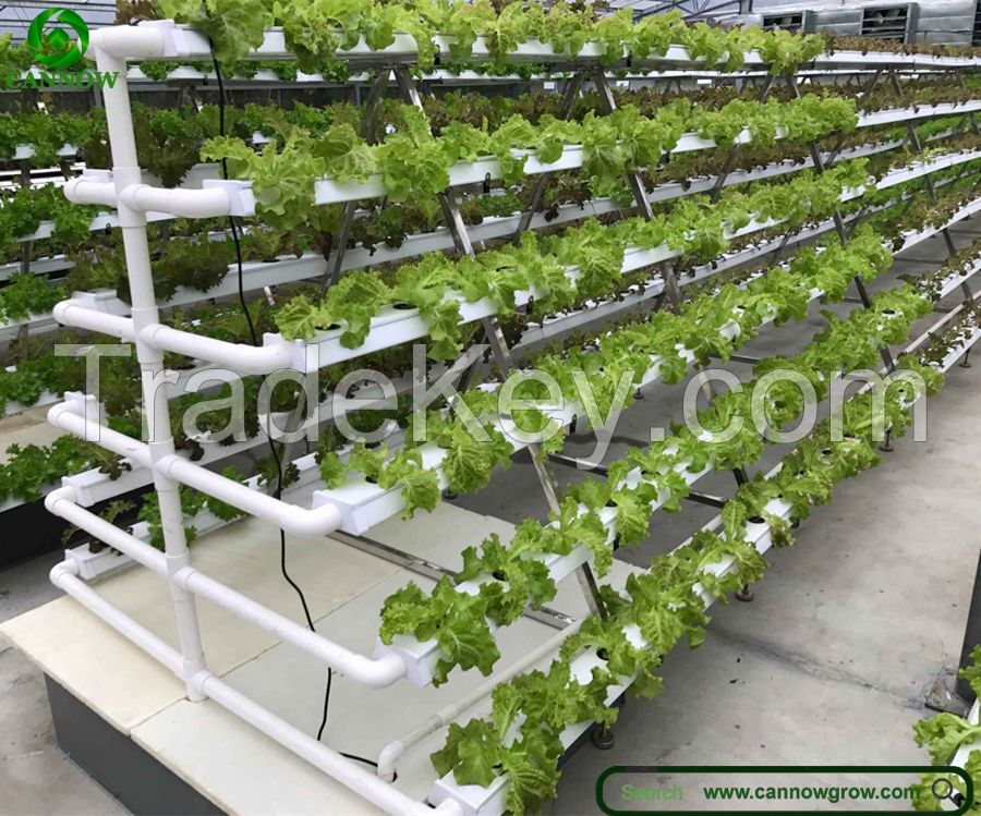 NFT hydroponic system vertical hydroponic system in greenhouse