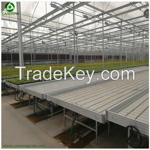 4x8 EBB flood tray for seedling in greenhouse