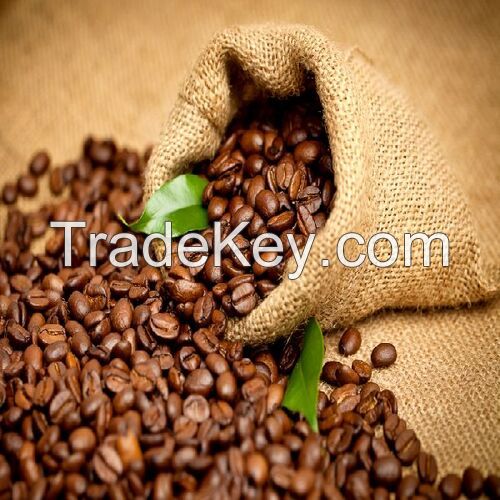 Elite Coffee Bean (Premium)
