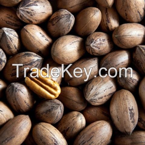 Top Grade wholesale Raw Roasted Pecan Nuts