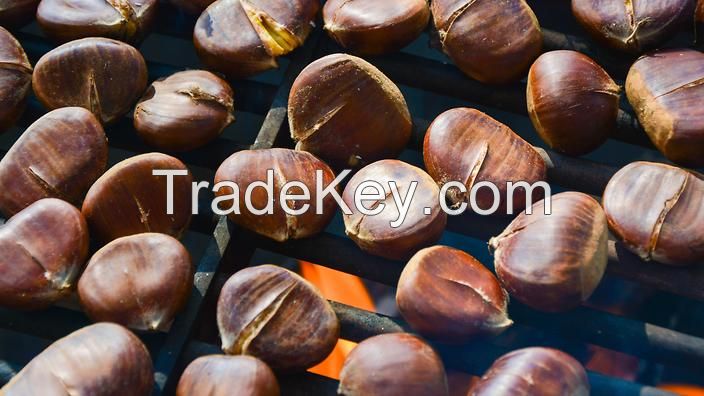 Natural Sweet Chestnuts Snacks----Healthy Nut & Kernel SnacksPopular