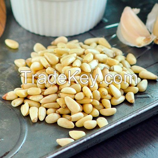 Pine Nuts Kernel Sale Best Grade and Top Quality Pine nuts 