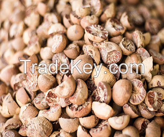 Betel Nut Brown Color Dried Best Selling 100 % Natural High Quality Premium Grade Of Betel Nut Supply