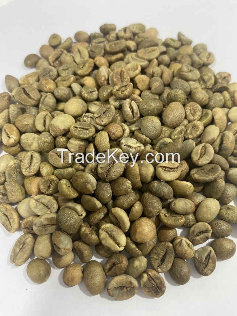 Robusta green coffee beans