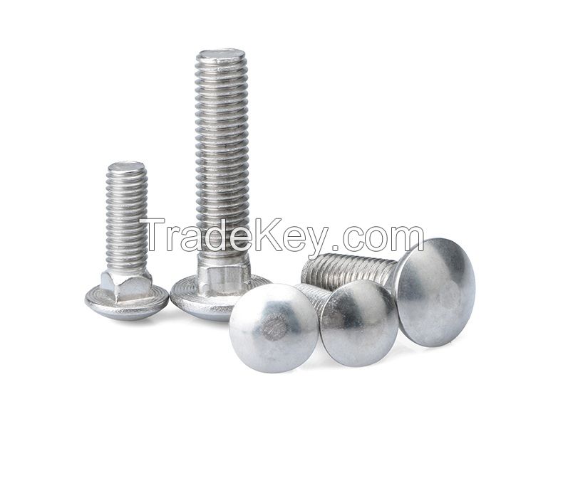 SS316 A4-70 Round Head Square Neck Bolts