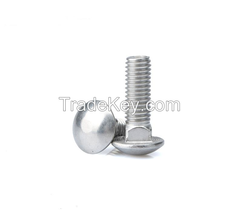 SS316 A4-70 Round Head Square Neck Bolts
