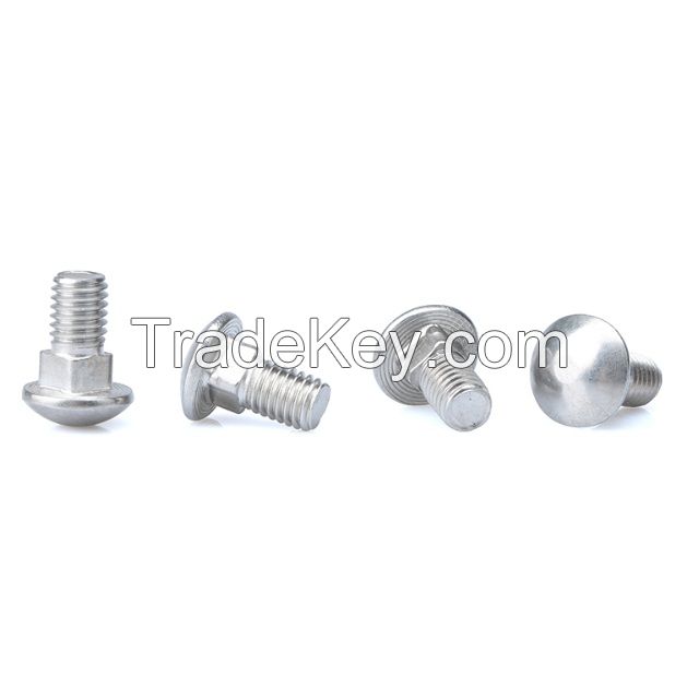 SS316 A4-70 Round Head Square Neck Bolts