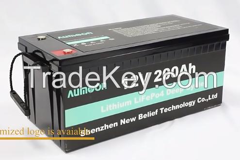 OEM Lifepo4 battery 12v 24v 36v 48v solar battery 100ah 200ah auto rechargeable Lithium ion Lifepo4 batteries