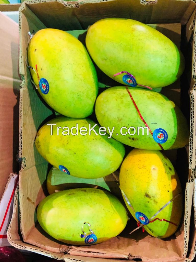 Pakistan Origin Mango