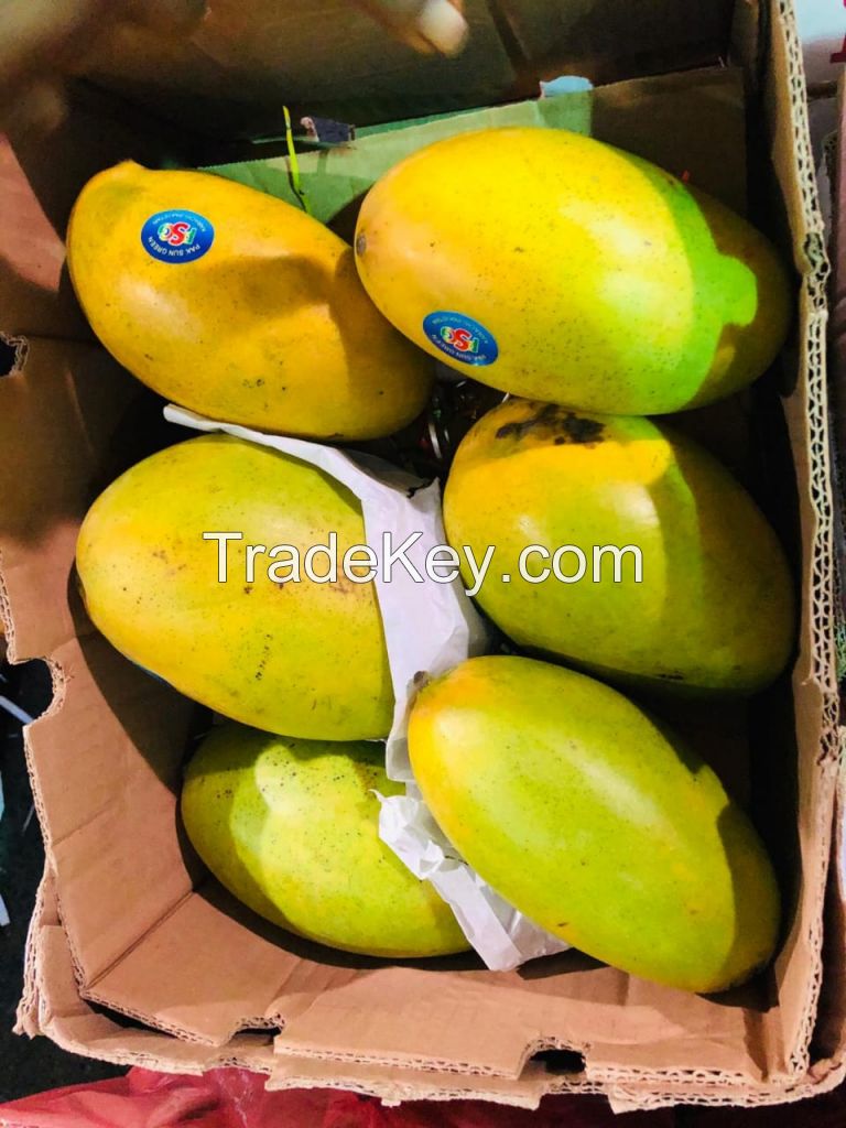 Pakistan Origin Mango