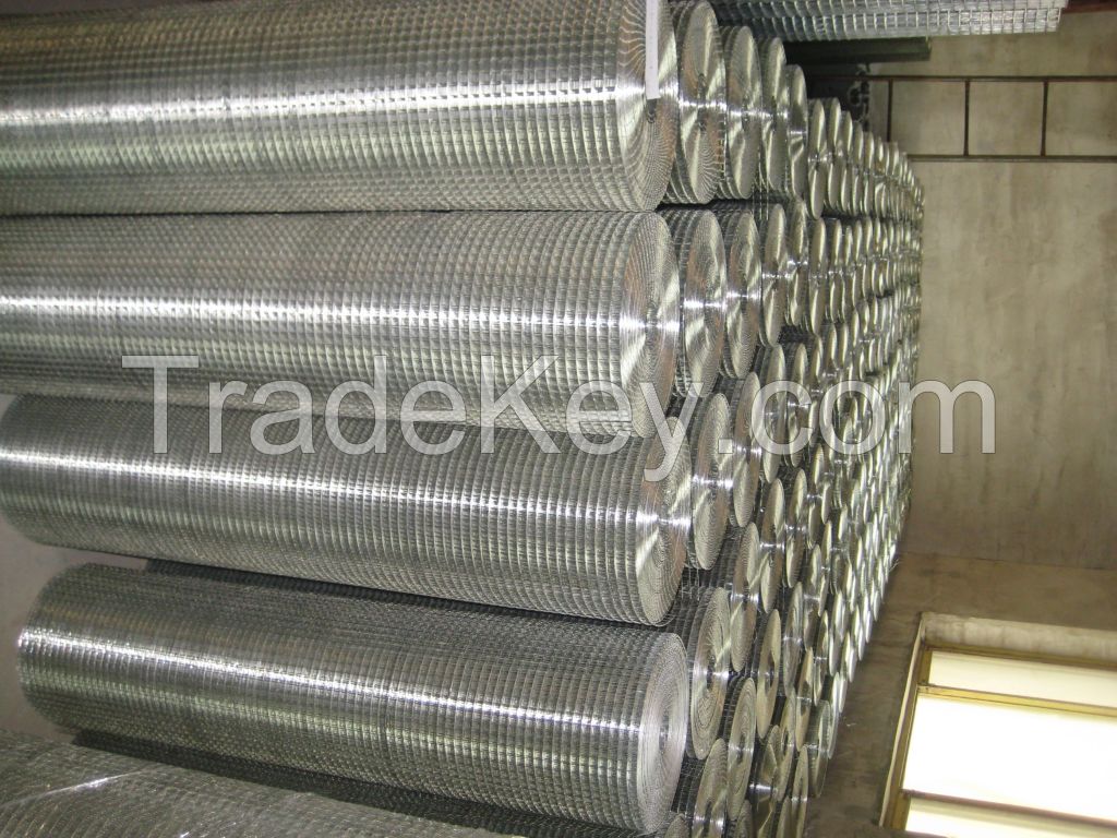 Various sizes stainless steel welded wire mesh / Galvanized iron wire Mesh