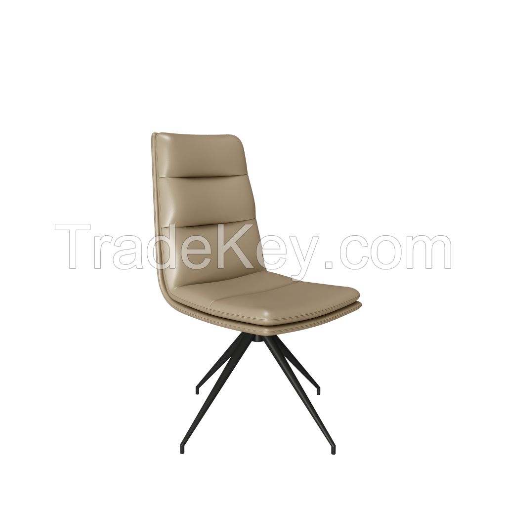 Dinning chair Y194