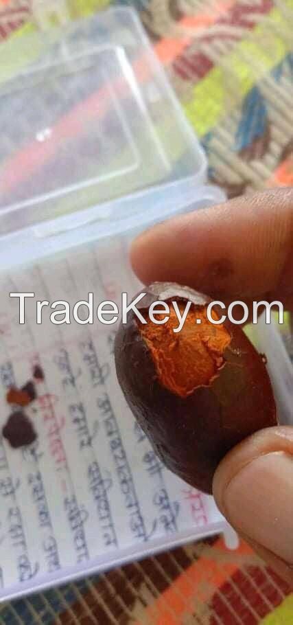 Ox Cow Gallstone 