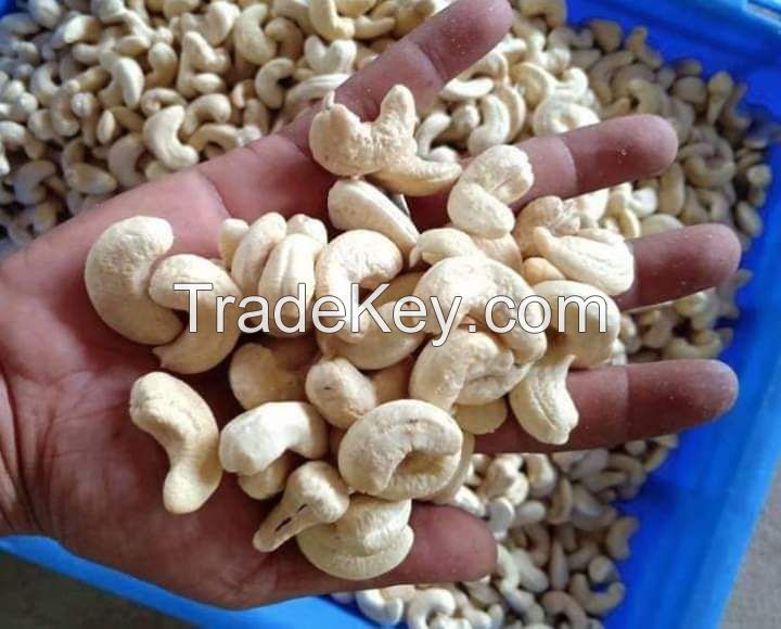 Process Cashew Nuts Kernels 