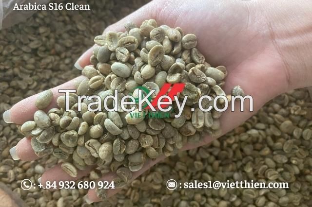 Vietnam Arabica Green Coffee Beans - Natural, Clean Quality