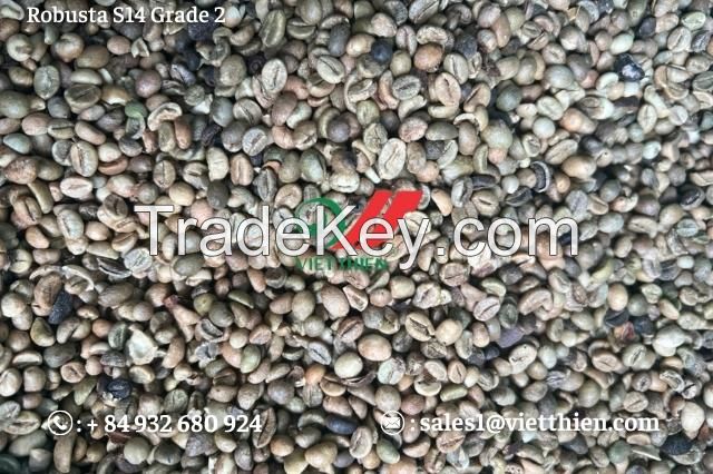 Robusta green coffee beans coffee- normal quality
