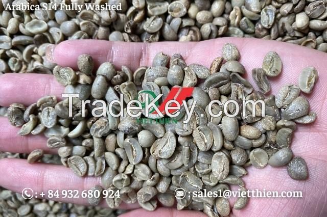 Vietnam Arabica green coffee beans - fully washed quality