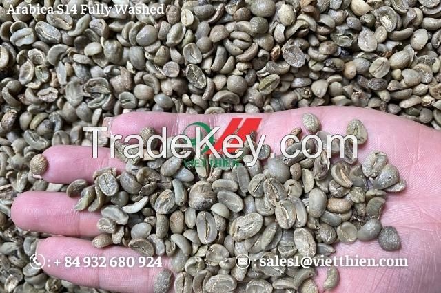 Vietnam Arabica green coffee beans - fully washed quality