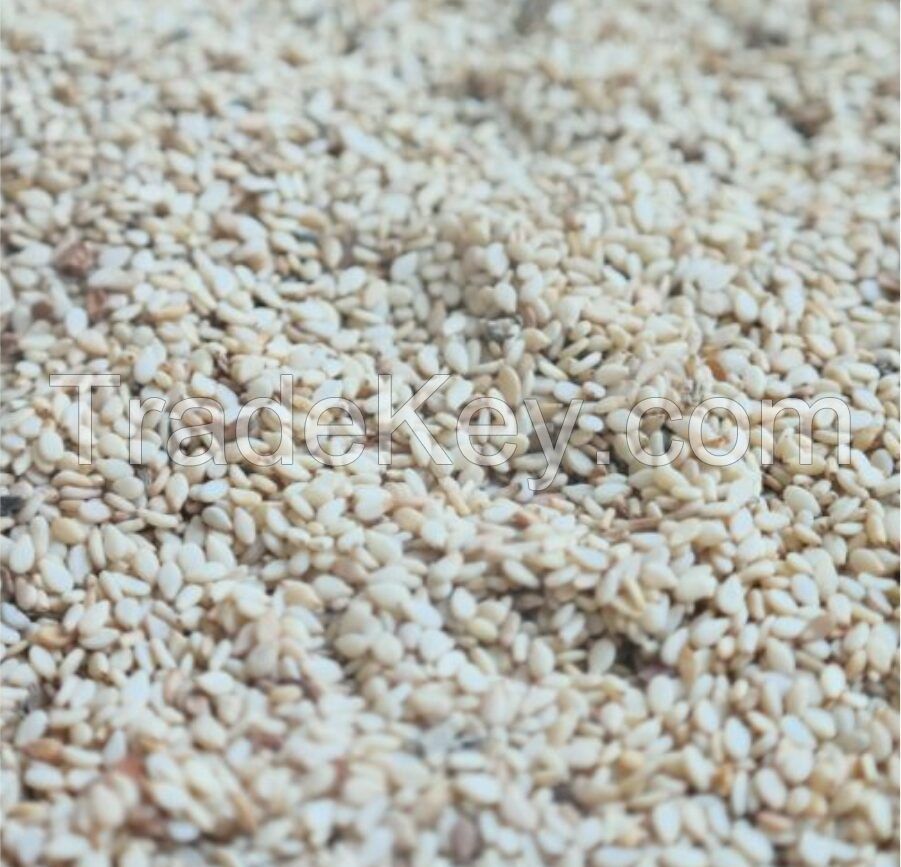 Sesame Seeds