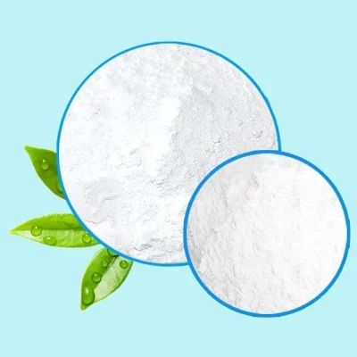 CAS No. 1317-80-2 Titanium Dioxide B101 Anatase Powder/Dioxide Titanium Titanium for Exterior Wall Coating