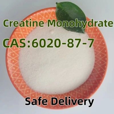 Factory Supply Supplement Raw Materials 57-00-1 Pure Creatine Monohydrate