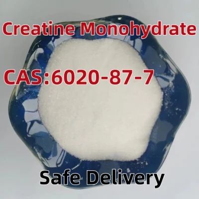 Factory Supply Supplement Raw Materials 57-00-1 Pure Creatine Monohydrate