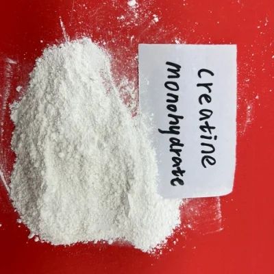Top Grade Food Additives Creatine Monohydrate Powder CAS 6020-87-7