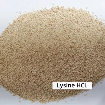 L-Lysine 98.5% for Stock Farming Animal Feed Additives