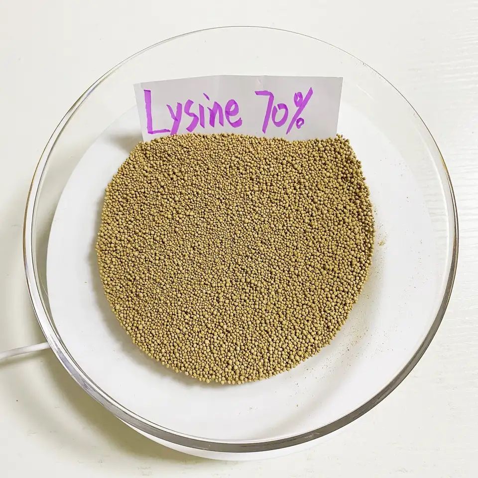 Amino Acid Food Feed Additive Lysine Hydrochloride Powder L Lysine