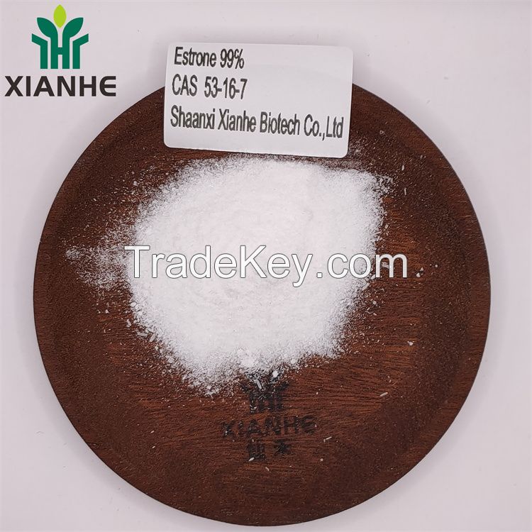 XIANHE factory Supply Estrone 99% CAS 53-16-7