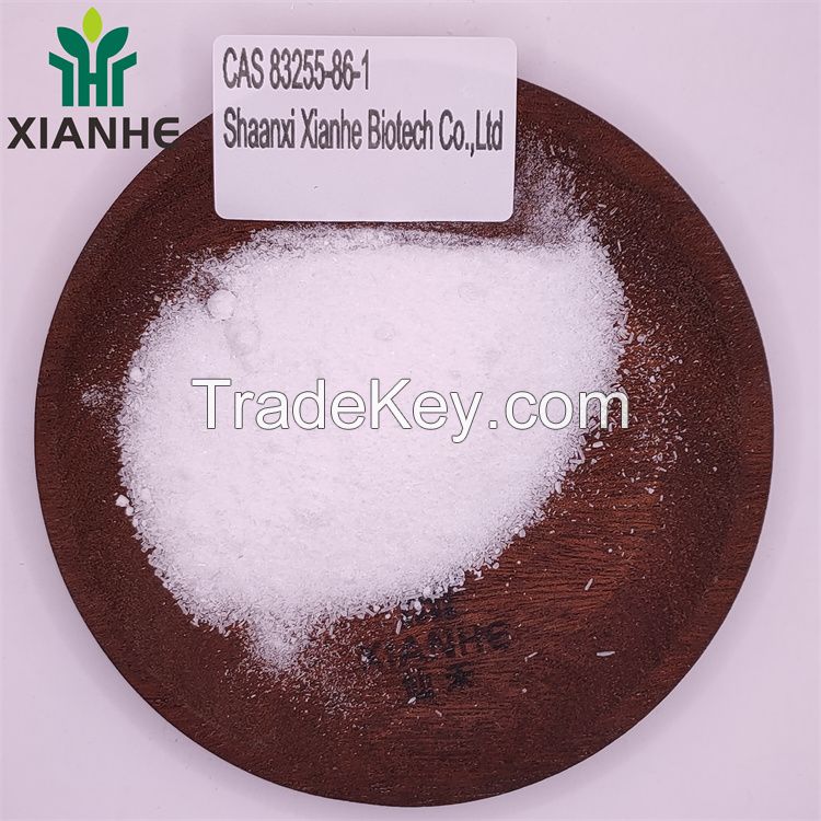 XIANHE factory Supply 3-Bromo-1H-pyrazolo[3,4-d]pyrimidin-4-amine 99% CAS 83255-86-1