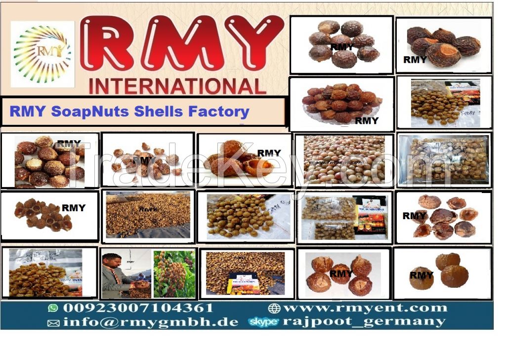 soap nuts products