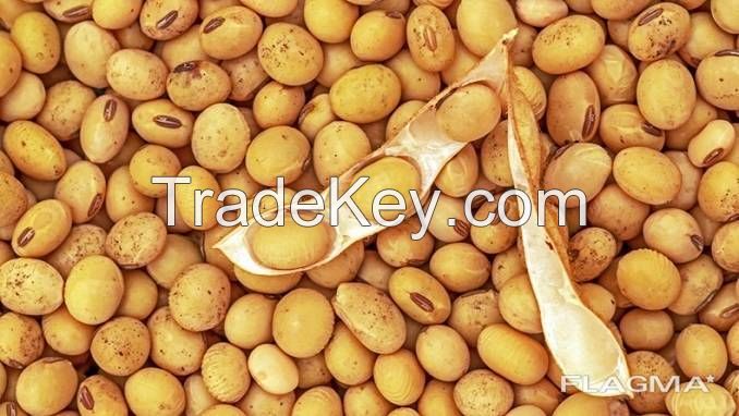 Soybeans