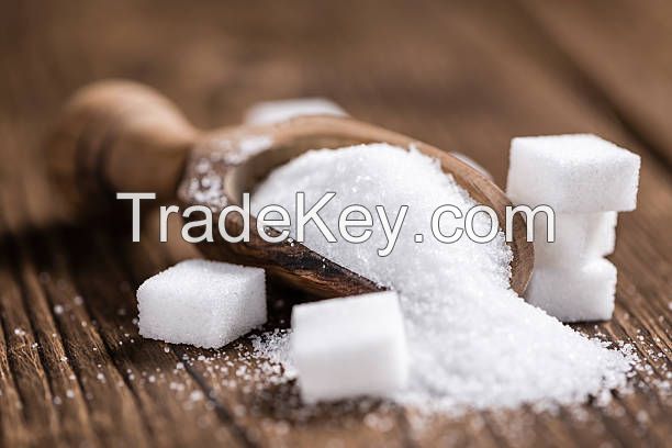 Premium ICUMSA-45 White Refined Sugar Brazilian - Bulk Supplier