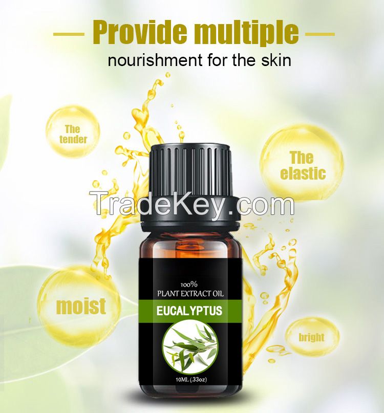 Eucalyptus oil/Eucalyptus Globulus oil