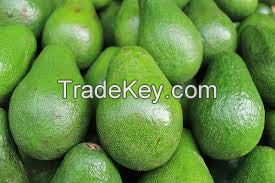 fresh avocados
