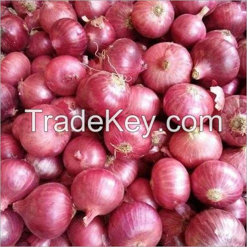  Fresh Red Onions