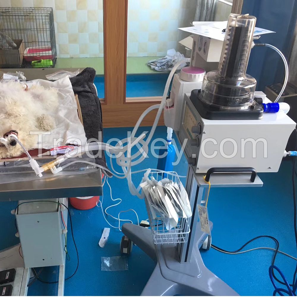 Veterinary Anesthesia System