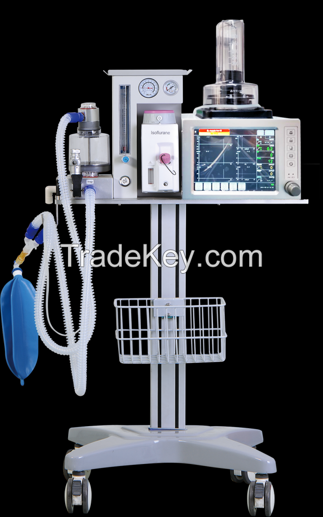 Veterinary Anesthesia System