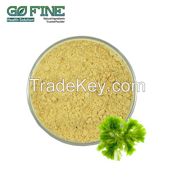 Algae DHA Powder