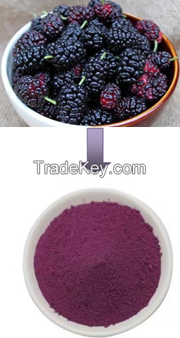 Mulberry fruit powder