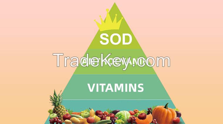 Sod superoxide dismutase